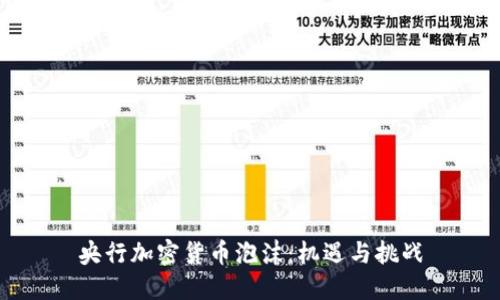 央行加密货币泡沫:机遇与挑战