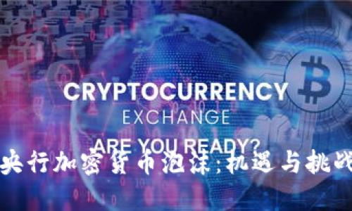 央行加密货币泡沫:机遇与挑战
