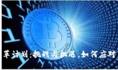 加密货币改革计划:挑战与机遇,如何应对未来
