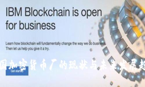 中国加密货币厂的现状与未来发展趋势