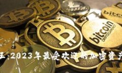 加密货币人气王:2023年最受欢迎的加密资产及其