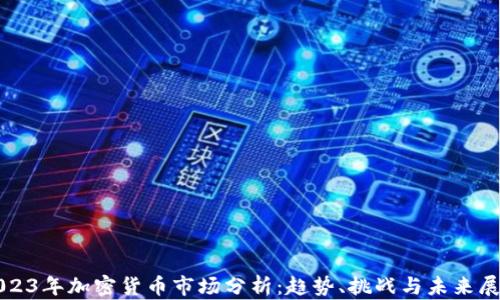 2023年加密货币市场分析:趋势、挑战与未来展望