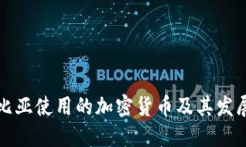 纳米比亚使用的加密货币及其发展现状