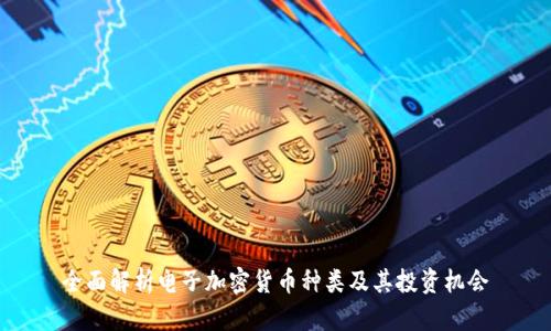 全面解析电子加密货币种类及其投资机会