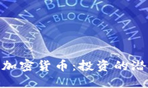探寻偏门加密货币:投资的潜力与风险