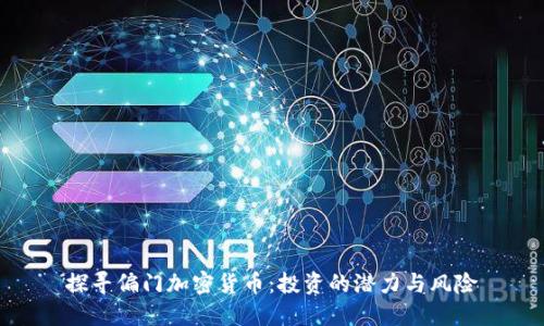 探寻偏门加密货币:投资的潜力与风险