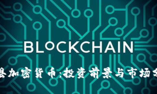 赵县加密货币:投资前景与市场分析