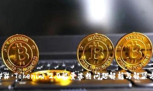 ### Tokenim 2.0能量冻结问题解析与解决方案