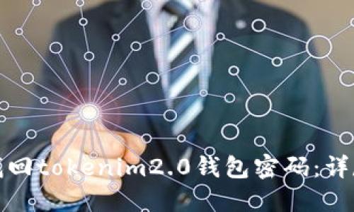 如何找回tokenim2.0钱包密码:详尽攻略