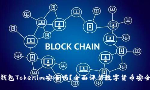 冷钱包Tokenim安全吗?全面评估数字货币安全性