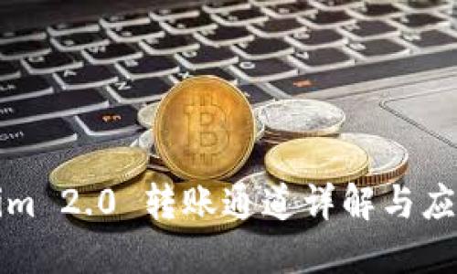 Tokenim 2.0 转账通道详解与应用指南