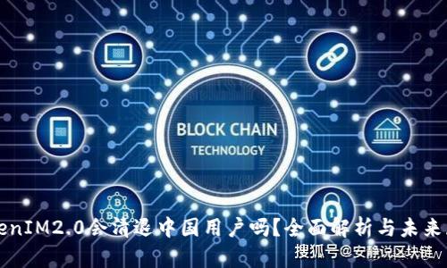 TokenIM2.0会清退中国用户吗?全面解析与未来展望