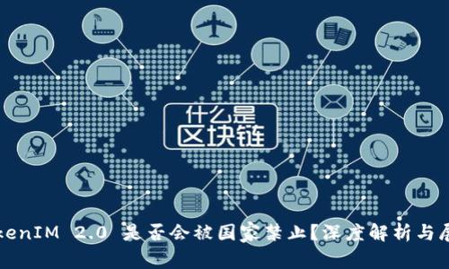 TokenIM 2.0 是否会被国家禁止?深度解析与展望