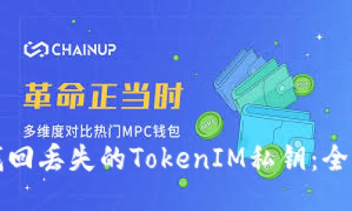 如何找回丢失的TokenIM私钥:全面指南