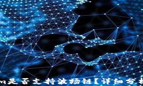 TokenIm是否支持波场链?详细分析与解答