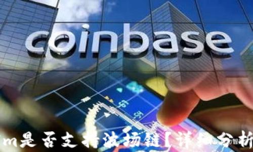TokenIm是否支持波场链?详细分析与解答
