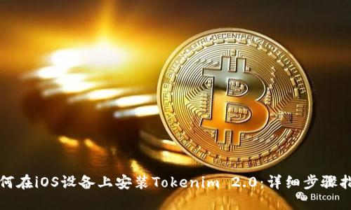 如何在iOS设备上安装Tokenim 2.0:详细步骤指南