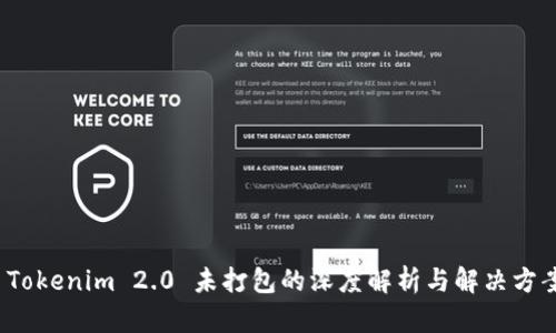 Tokenim 2.0 未打包的深度解析与解决方案