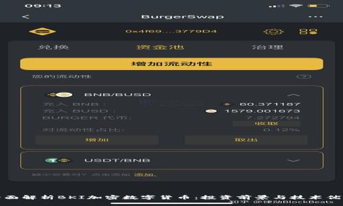 全面解析BKI加密数字货币:投资前景与技术优势