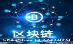 如何找回Tokenim 2.0 忘记的支付密码?