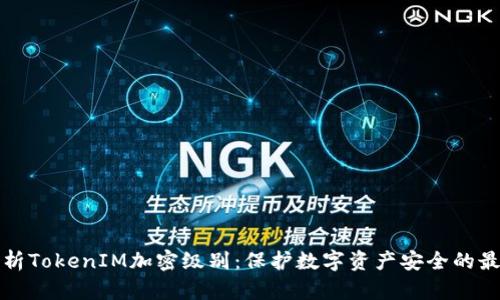 深入解析TokenIM加密级别:保护数字资产安全的最佳方案