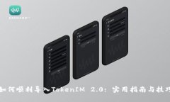 如何顺利导入TokenIM 2.0: 实用指南与技巧
