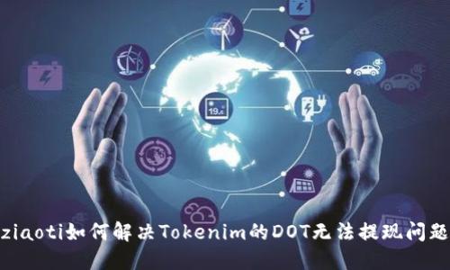 ziaoti如何解决Tokenim的DOT无法提现问题