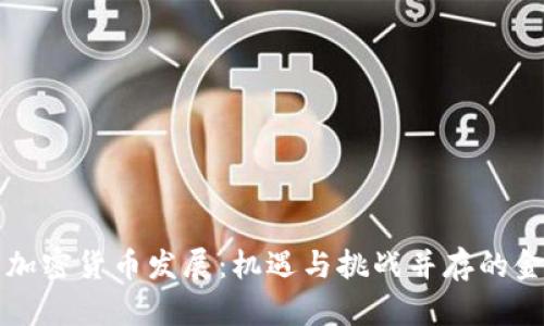 聚焦印度加密货币发展:机遇与挑战并存的金融新世界