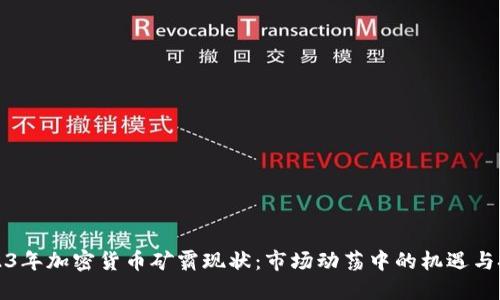 2023年加密货币矿霸现状：市场动荡中的机遇与挑战