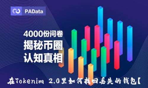 在Tokenim 2.0里如何找回丢失的钱包?