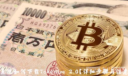 安卓系统如何下载Tokenim 2.0?详细步骤与注意事项