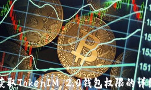 如何获取TokenIM 2.0钱包权限的详细指南