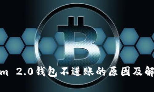 Tokenim 2.0钱包不进账的原因及解决方案