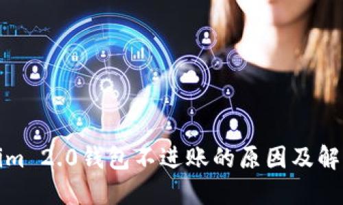 Tokenim 2.0钱包不进账的原因及解决方案