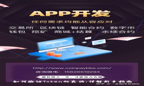 如何验证Token的真伪:详解新手指南