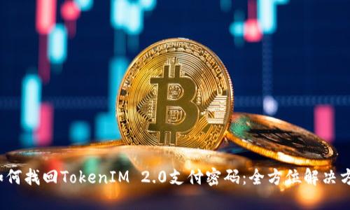 如何找回TokenIM 2.0支付密码:全方位解决方案