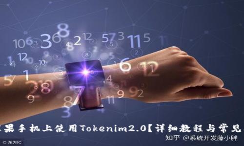 如何在苹果手机上使用Tokenim2.0?详细教程与常见问题解答