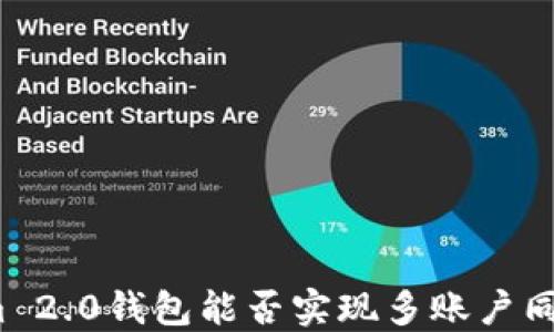 Tokenim 2.0钱包能否实现多账户同时登录?