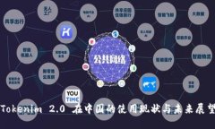 Tokenim 2.0 在中国的使用现状与未来展望
