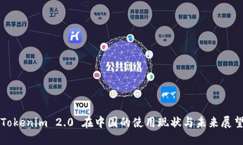 Tokenim 2.0 在中国的使用现状与未来展望
