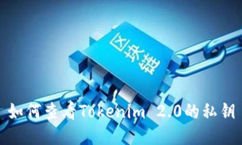 如何查看Tokenim 2.0的私钥