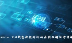 Tokenim 2.0钱包收款延迟的原因及解决方法解析