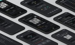在区块链和加密货币的世界中,私钥(Private Ke