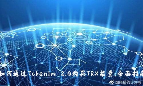 如何通过Tokenim 2.0购买TRX能量:全面指南