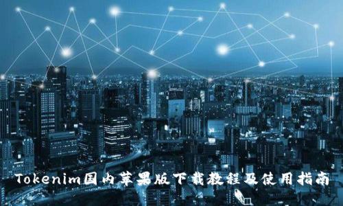 Tokenim国内苹果版下载教程及使用指南