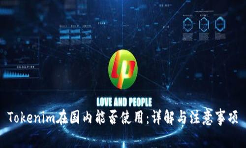 Tokenim在国内能否使用:详解与注意事项