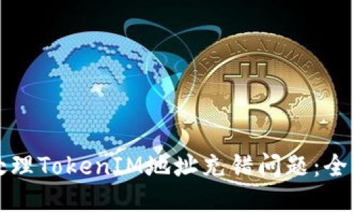 如何处理TokenIM地址充错问题:全面指南