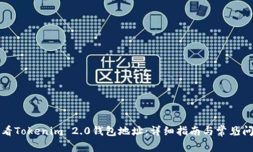 如何查看Tokenim 2.0钱包地址:详细指南与常见问题解答