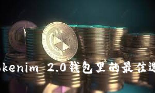 Algo放在Tokenim 2.0钱包里的最佳选择是什么?