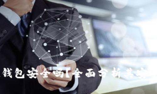 Token Pocket钱包安全吗？全面分析其安全性及使用建议